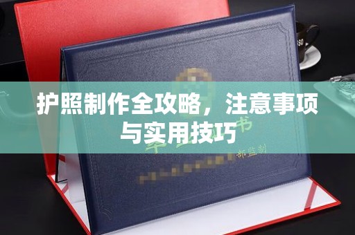 临安护照制作全攻略，注意事项与实用技巧